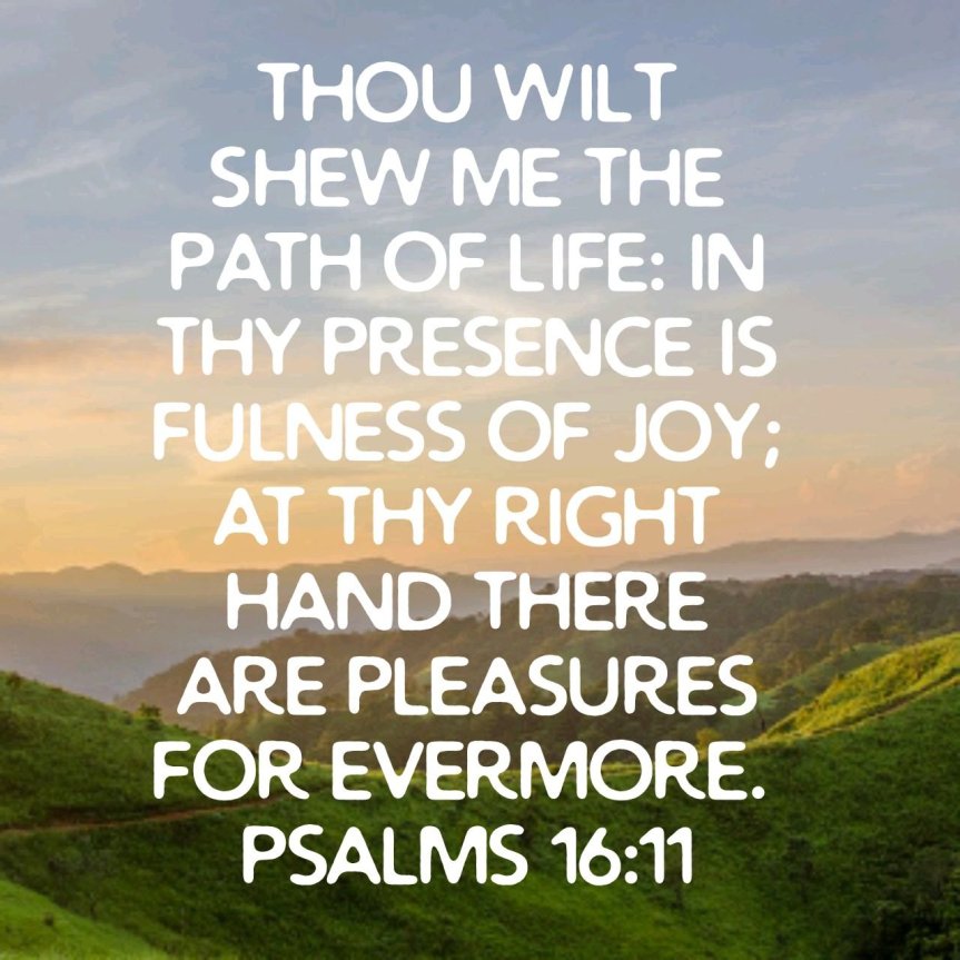 Reflections: True Joy